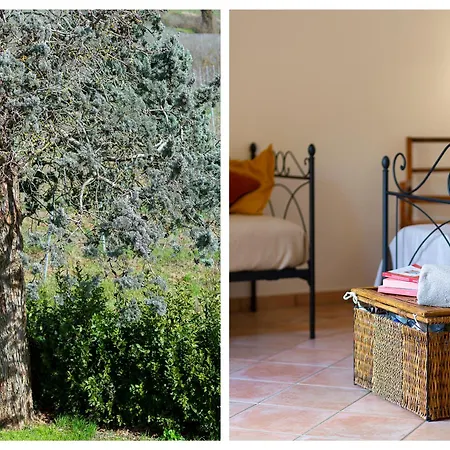 La Fonte Di Francesca Apartment